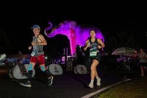 BIB: 
                            <button type="button" onclick="openModal(26543217)" class="btn btn-primary btn-sm float-right btn-popup" data-toggle="modal" data-target=".modal-high-quality">
                        <i class="fas fa-shopping-cart"></i> Add to Cart
                    </button>
                                            <button type="button" onclick="isThisMe(26543217, true)" class="btn btn-success btn-sm float-right btn-popup btn-isme hidden" data-toggle="tooltip" data-placement="bottom" title="นี่คือรูปของคุณใช่ไหม คลิกที่นี่เพื่อเอาเข้าอัลบั้ม">
                        <i class="fas fa-plus"></i> Add to album
                    </button>
                    <button type="button" onclick="isThisMe(26543217, false)" class="btn btn-warning btn-sm float-right btn-popup btn-isnotme hidden">
                        <i class="fas fa-ban"></i> Remove from album
                    </button>